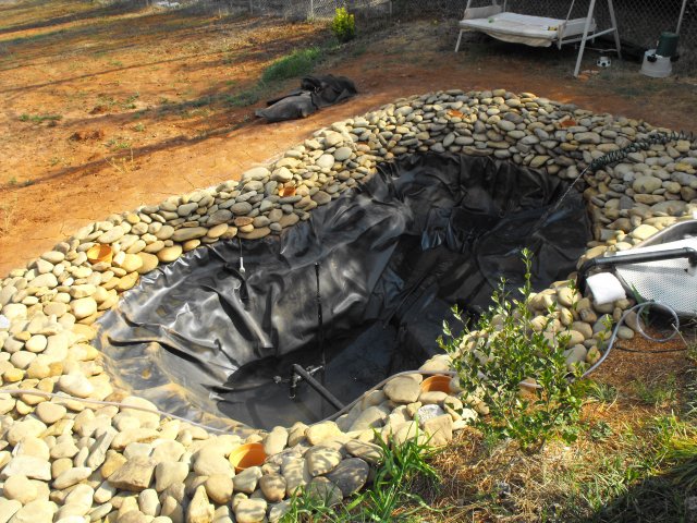 DSCF0071.JPG