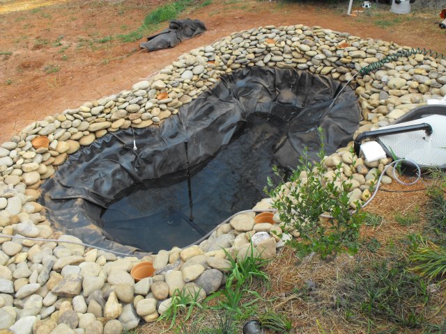 DSCF0072.JPG