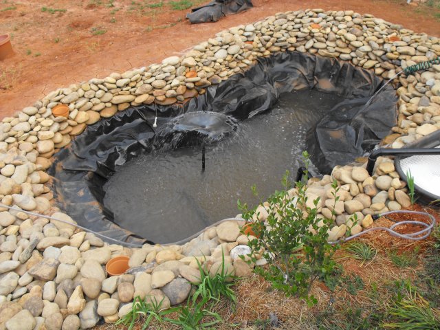 DSCF0074.JPG