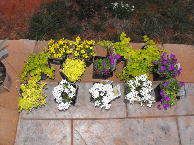 DSCF0088.JPG