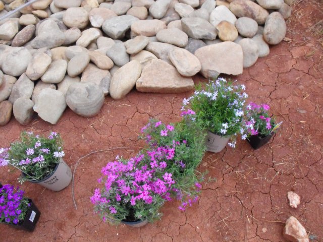 DSCF0086.JPG