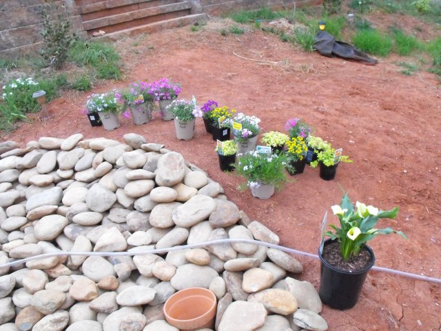 DSCF0084.JPG