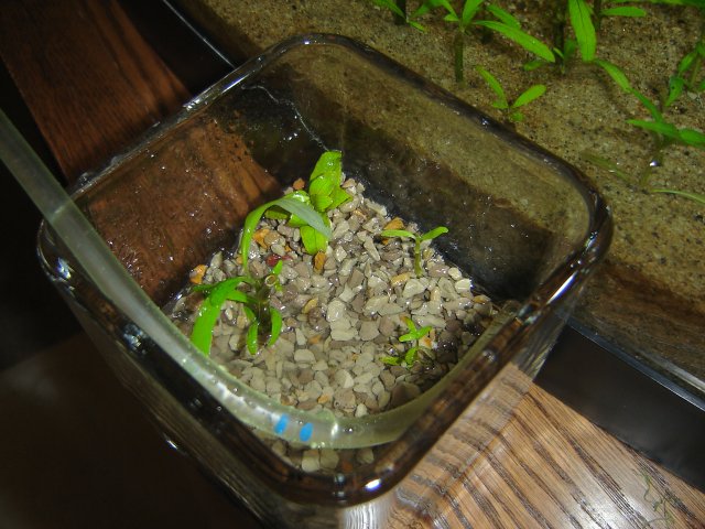 DSC04864.JPG