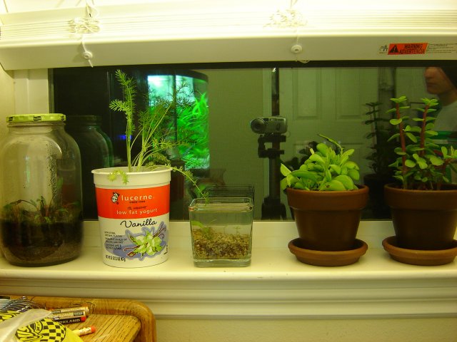DSC04869.JPG