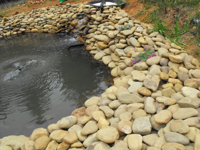 DSCF0105.JPG