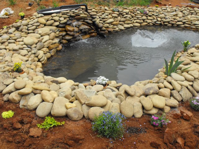DSCF0100.JPG