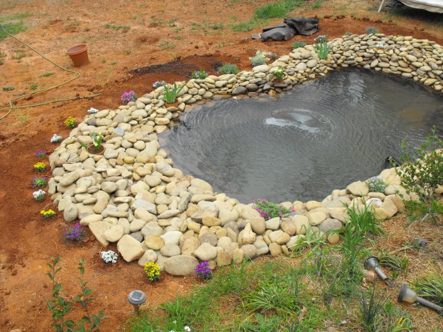 DSCF0107.JPG