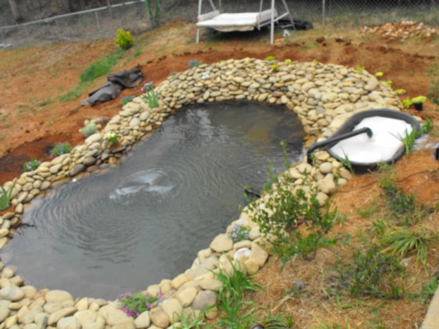 DSCF0108.JPG