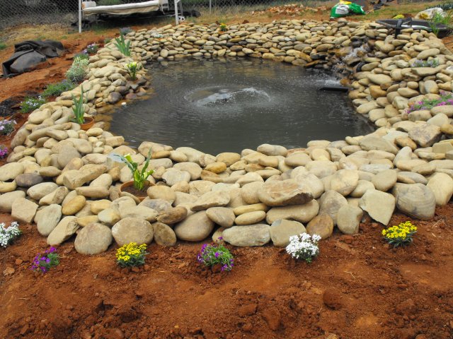 DSCF0103.JPG