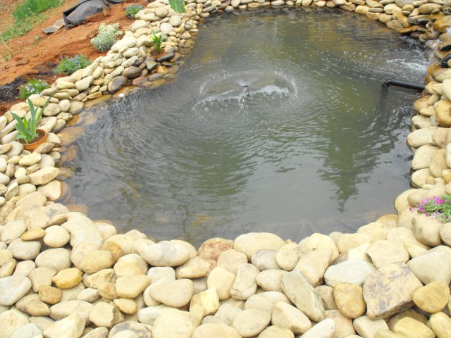 DSCF0106.JPG