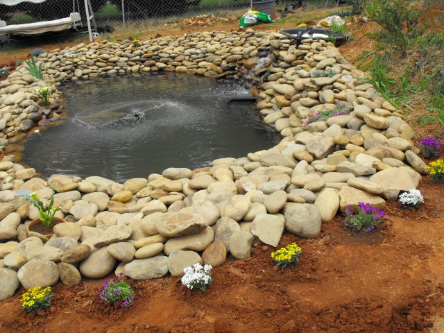 DSCF0104.JPG