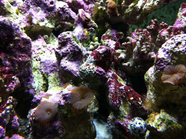 IMG_0518.jpg