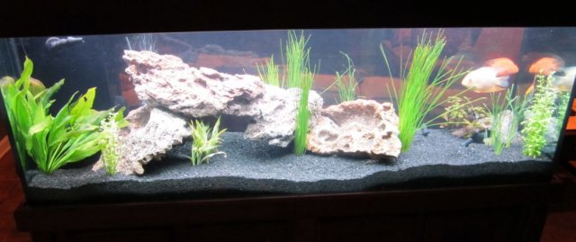 tankview1.jpg