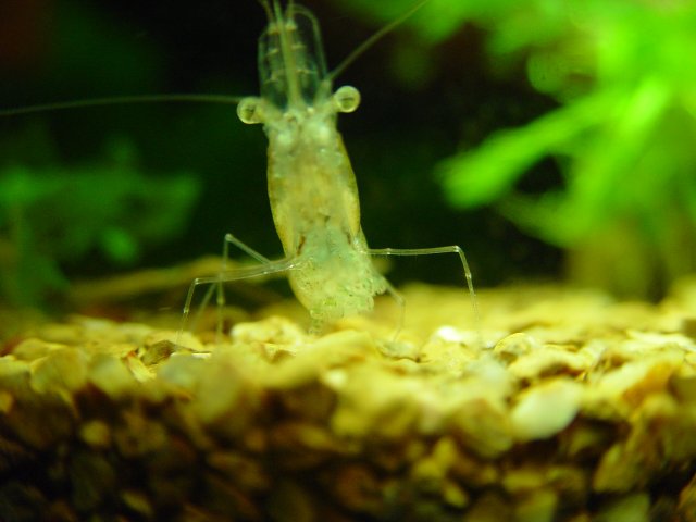 test videos 001.JPG