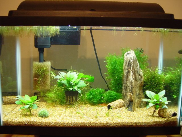 pvc caves 025.JPG