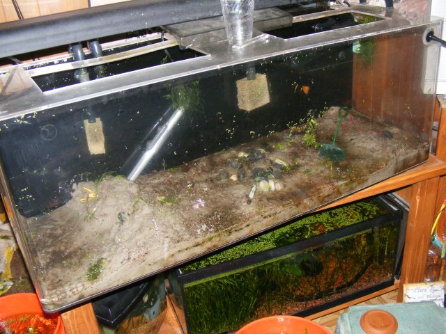 010.JPG