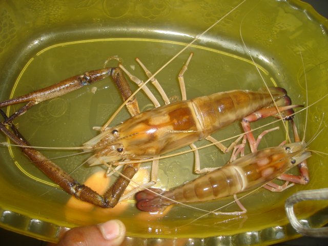 DSC01164.jpg