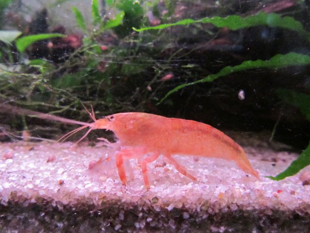 IMG_0484.jpg