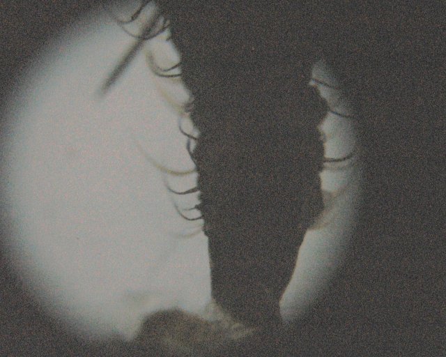 head micro 011.JPG head micro 011.JPG