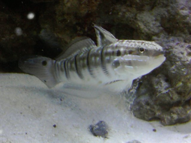 phone pictures 005.jpg