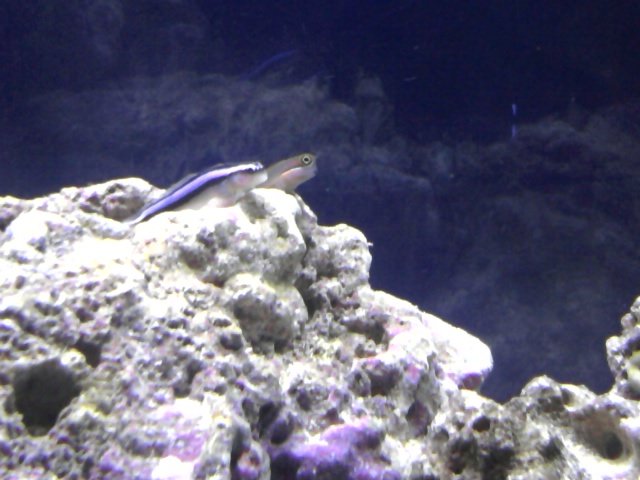phone pictures 004.jpg
