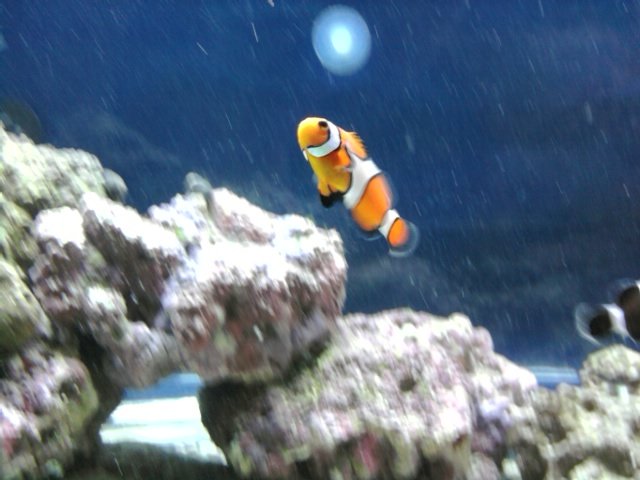 phone pictures 023.jpg