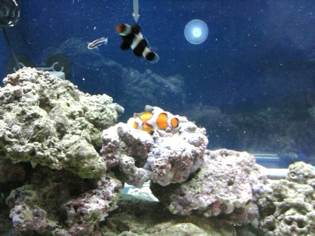 phone pictures 022.jpg
