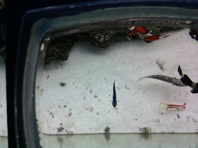 phone pictures 021.jpg