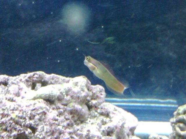 phone pictures 025.jpg