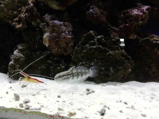 phone pictures 019.jpg