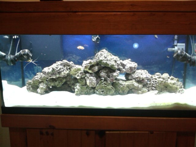 phone pictures 014.jpg