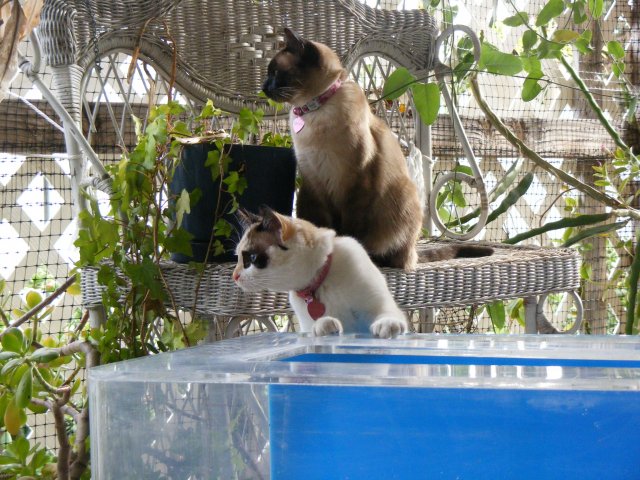 036.JPG