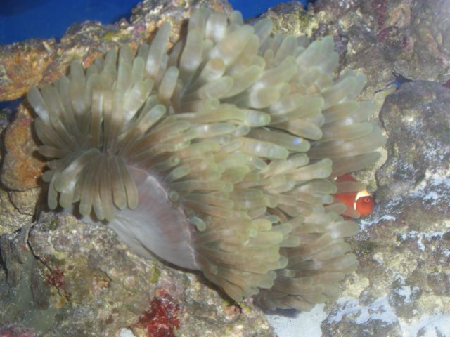 DSCN0580.JPG