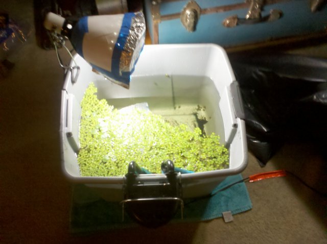 IMG_20110404_203636.jpg IMG_20110404_203636.jpg