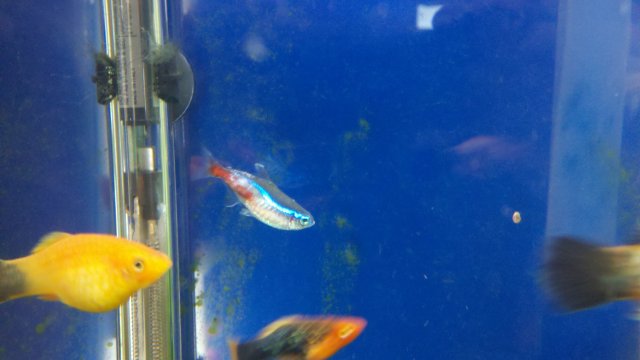 2011-04-06_13-31-14_450.jpg 2011-04-06_13-31-14_450.jpg