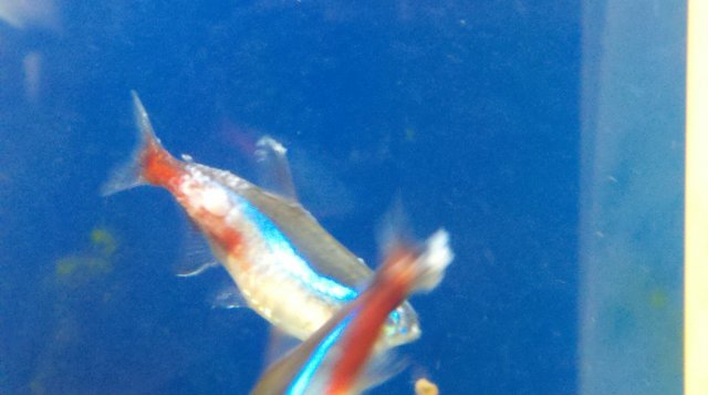 2011-04-06_13-32-47_467.jpg 2011-04-06_13-32-47_467.jpg