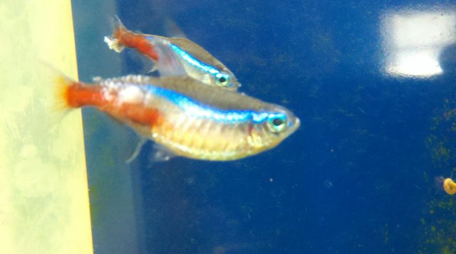 2011-04-06_13-31-48_952.jpg 2011-04-06_13-31-48_952.jpg