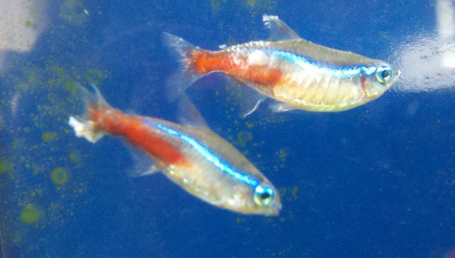 2011-04-06_13-33-46_640.jpg 2011-04-06_13-33-46_640.jpg