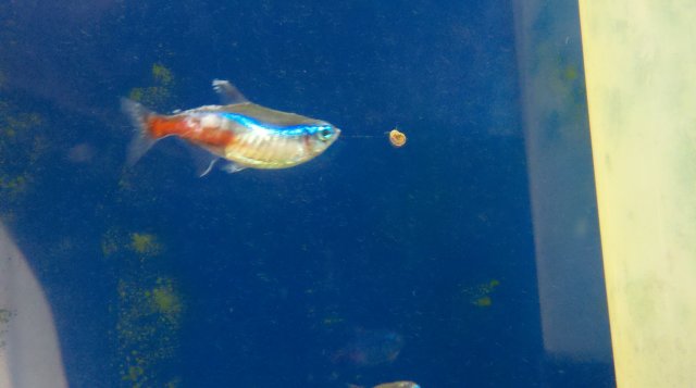 2011-04-06_13-33-26_788.jpg 2011-04-06_13-33-26_788.jpg