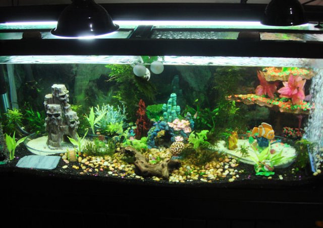 TANK1.jpg