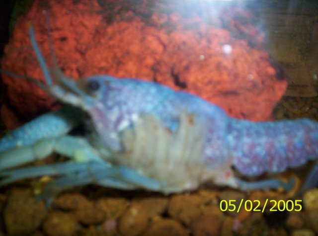 100_0316.JPG 100_0316.JPG