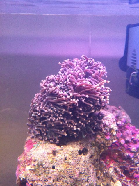 IMG_0319.JPG IMG_0319.JPG