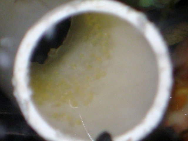 042.JPG