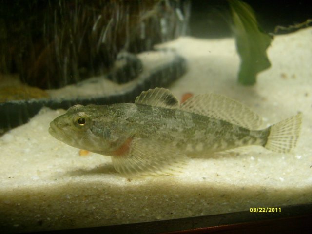 S7300603.jpg