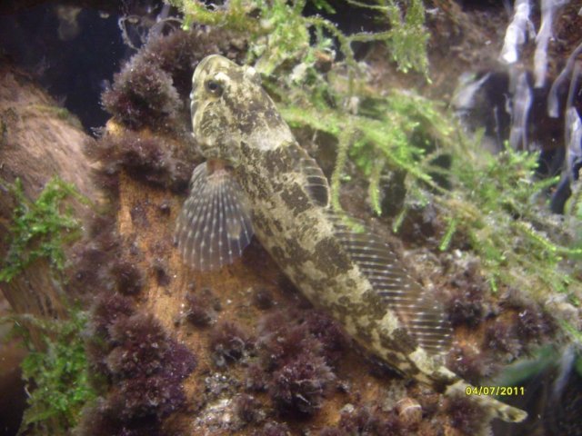 S7300689.jpg