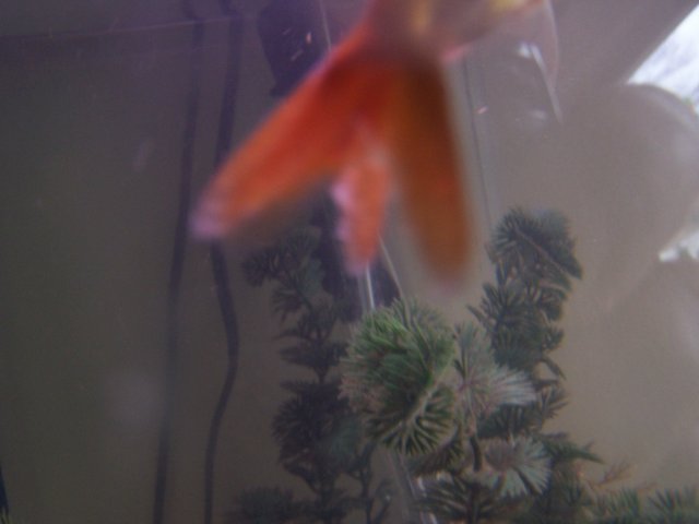 100_6097.JPG