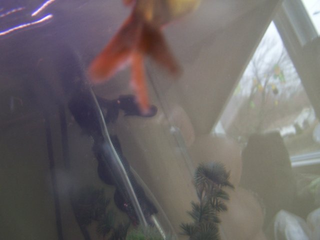 100_6098.JPG