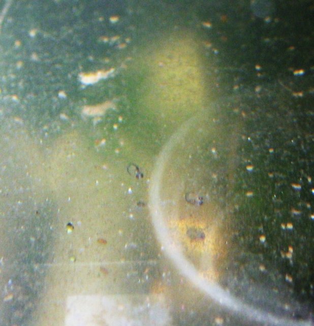 002.JPG 002.JPG