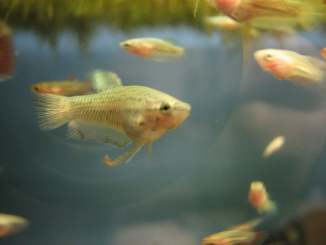canon 022.jpg