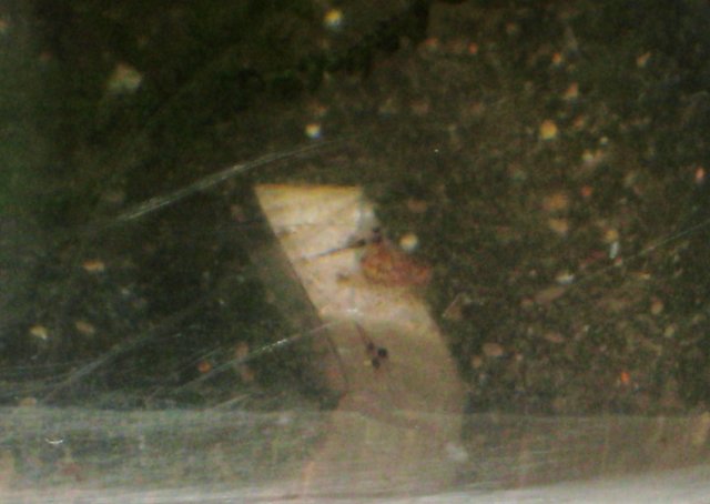 119.JPG